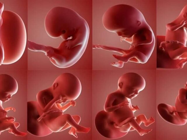 FB_IMG_1610085093939