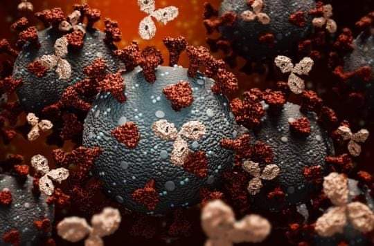 FB_IMG_1610187212394