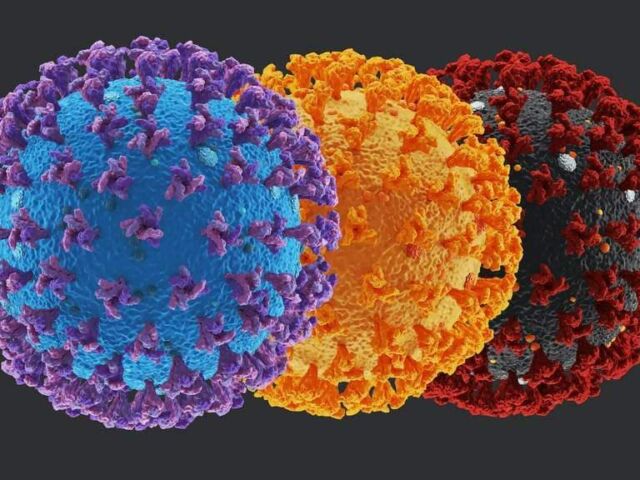 FB_IMG_1612362334724