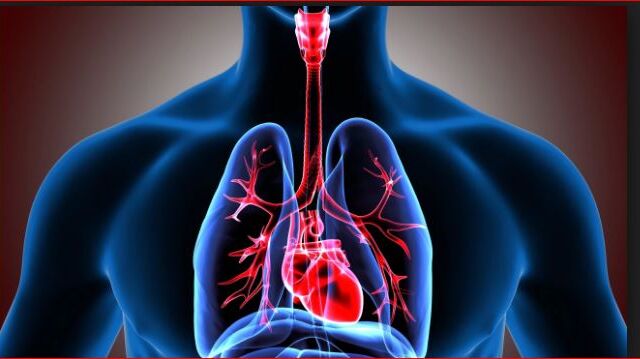 514f26aa9d398747f89597b873943187