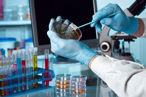 biotech